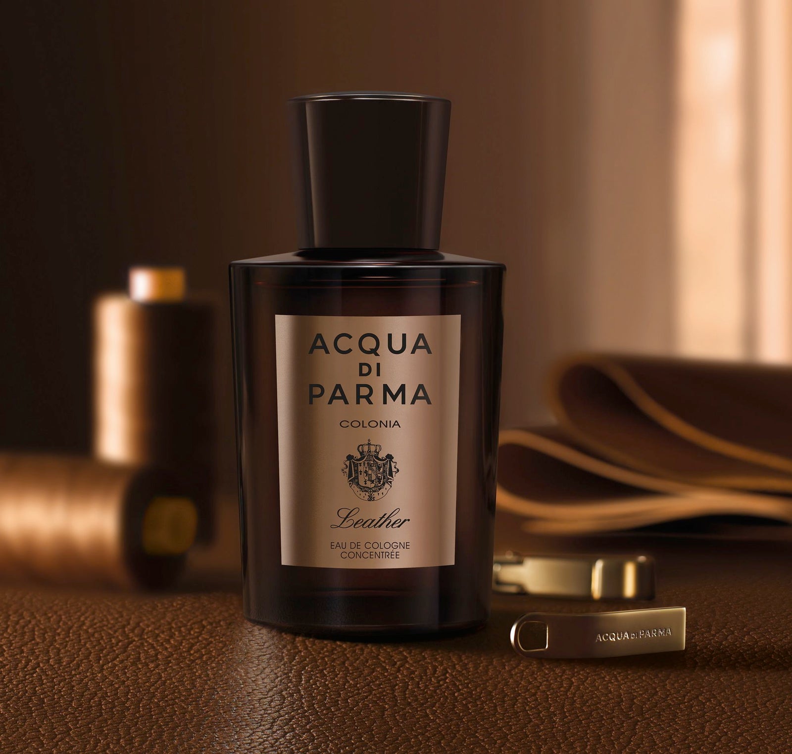 Fragrance notes explained